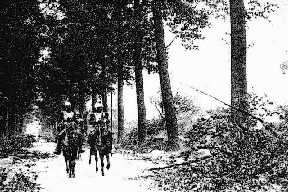 Reconnaissance de cuirassiers sur une route o� les arbres ont �t� fauch�s par le feu de notre artillerie