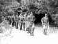 Patrick Le Lann � la t�te de son peloton; marche � la fourrag�re, Col du Bonhomme (ao�t 1977)