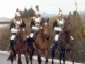 Chagnot - Garde � cheval (14 juillet 1978)